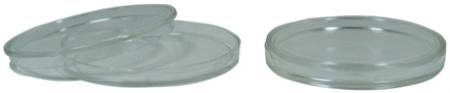 Coin Safe Capsule - 1.5 oz Silver Round - 38mm x 5mm