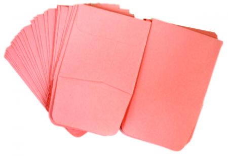 Paper Coin Envelopes -- Pink