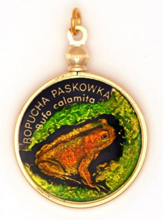 Hand Painted Poland 2 Zloty Frog Pendant