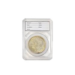 Guardhouse Defender Coin Slab -- Pack of 3 -- Large Dollars