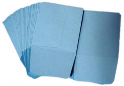 Paper Coin Envelopes -- Blue