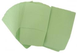 Paper Coin Envelopes -- Green