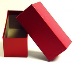 10 Red Coin Storage Boxes-Single Row for 2x2s U-DO-ITS Flips 9"x2"x2" Mylar 